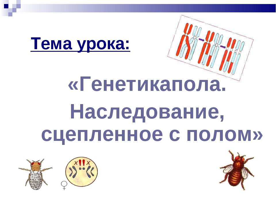 Генетикапола. Наследование, сцепленное с полом  - Скачать презентации бесплатно | Читать или скачать учебники для школы онлайн бесплатно ☑ Школьные учебники school-textbook.com