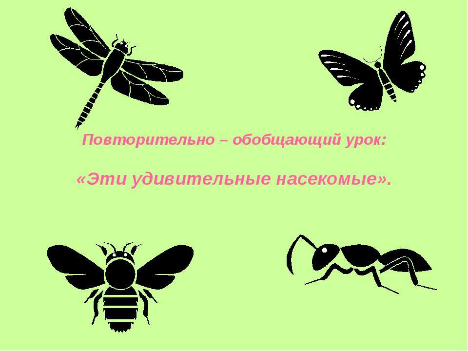 Эти удивительные насекомые  - Скачать презентации бесплатно | Читать или скачать учебники для школы онлайн бесплатно ☑ Школьные учебники school-textbook.com