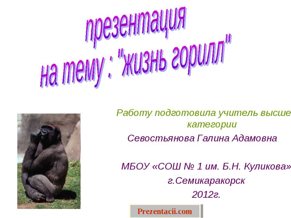 Жизнь горилл - Скачать презентации бесплатно ☑ Презентации по предметам на gdz-books.ru