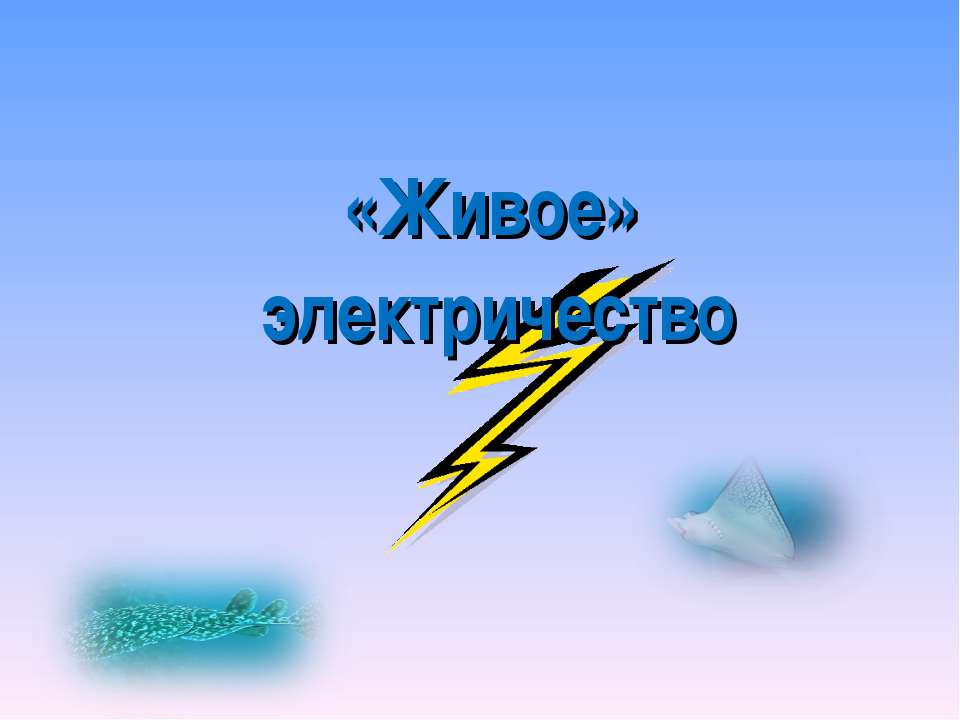 «Живое» электричество  - Скачать презентации бесплатно | Читать или скачать учебники для школы онлайн бесплатно ☑ Школьные учебники school-textbook.com