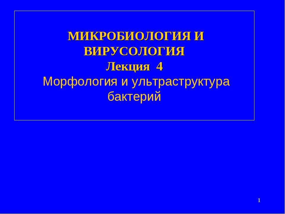 Морфология и ультраструктура бактерий  - Скачать презентации бесплатно | Читать или скачать учебники для школы онлайн бесплатно ☑ Школьные учебники school-textbook.com