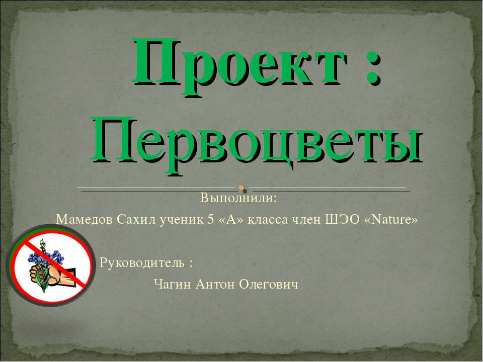 Первоцветы 5 класс  - Скачать презентации бесплатно | Читать или скачать учебники для школы онлайн бесплатно ☑ Школьные учебники school-textbook.com