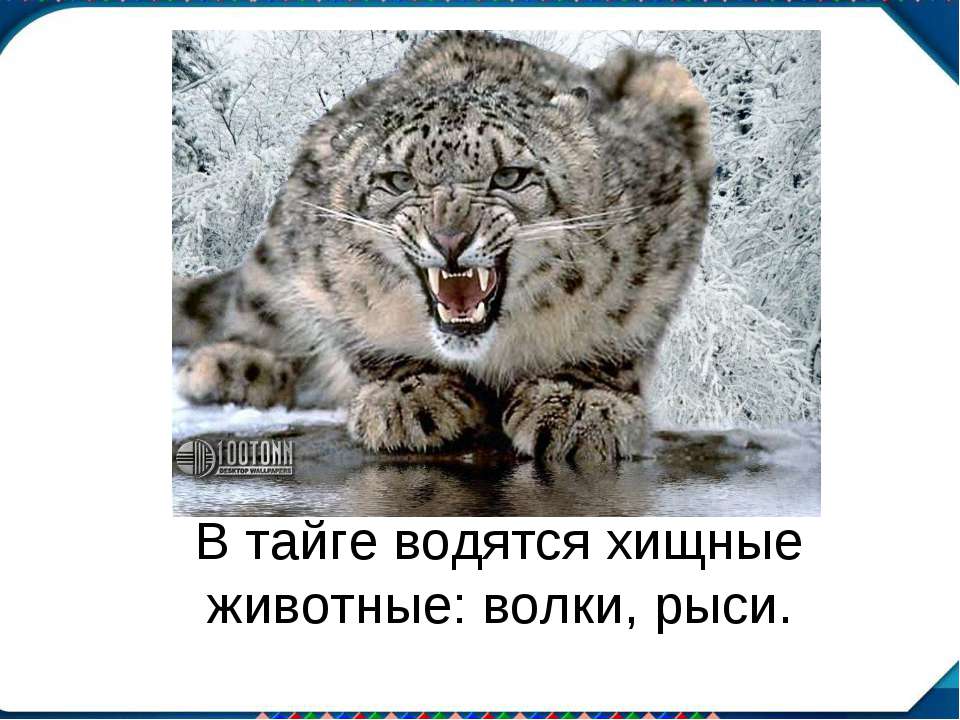 Зрительный диктант13  - Скачать презентации бесплатно | Читать или скачать учебники для школы онлайн бесплатно ☑ Школьные учебники school-textbook.com