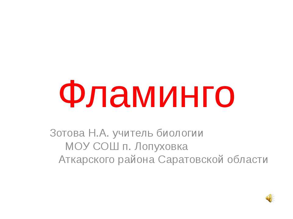 Фламинго - Скачать презентации бесплатно ☑ Презентации по предметам на gdz-books.ru