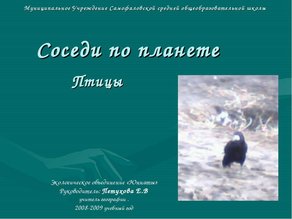 Соседи по планете Птицы  - Скачать презентации бесплатно | Читать или скачать учебники для школы онлайн бесплатно ☑ Школьные учебники school-textbook.com