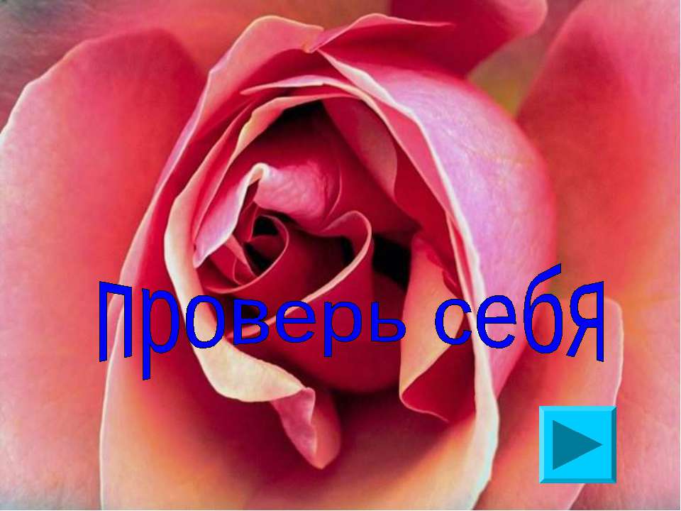 Тест по теме «Устройства ПК» - Скачать презентации бесплатно ☑ Презентации по предметам на gdz-books.ru