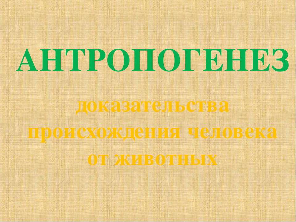 Антропогенез доказательства происхождения человека от животных  - Скачать презентации бесплатно | Читать или скачать учебники для школы онлайн бесплатно ☑ Школьные учебники school-textbook.com