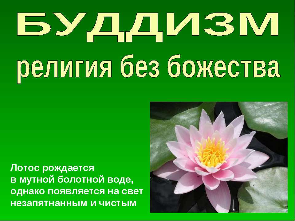 Буддизм религия без божества  - Скачать презентации бесплатно | Читать или скачать учебники для школы онлайн бесплатно ☑ Школьные учебники school-textbook.com