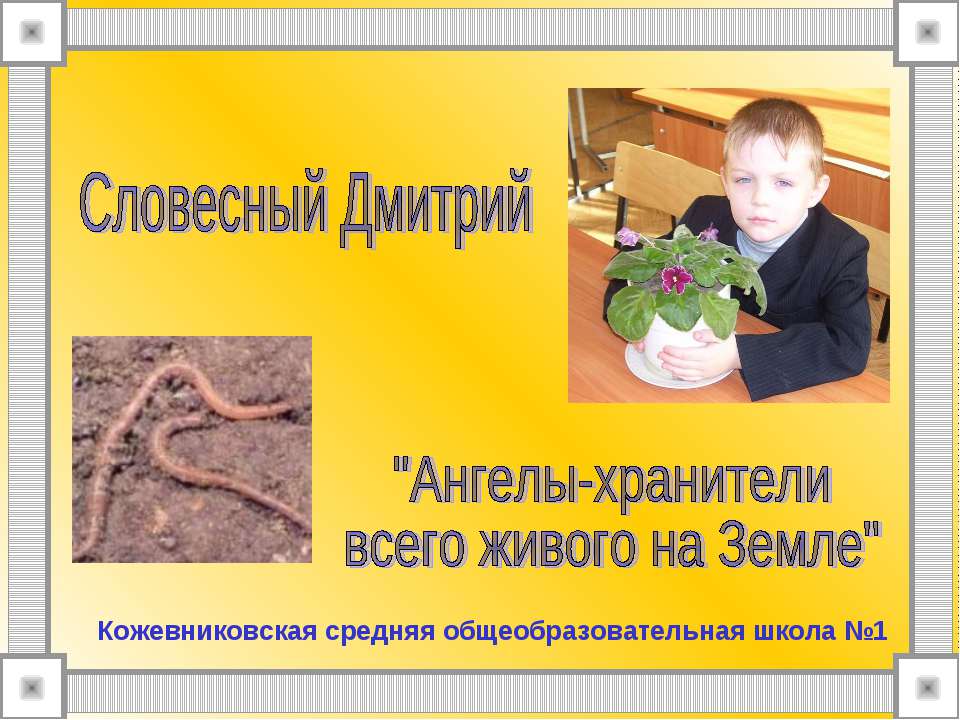 Ангелы-хранители всего живого на Земле - Скачать презентации бесплатно ☑ Презентации по предметам на gdz-books.ru