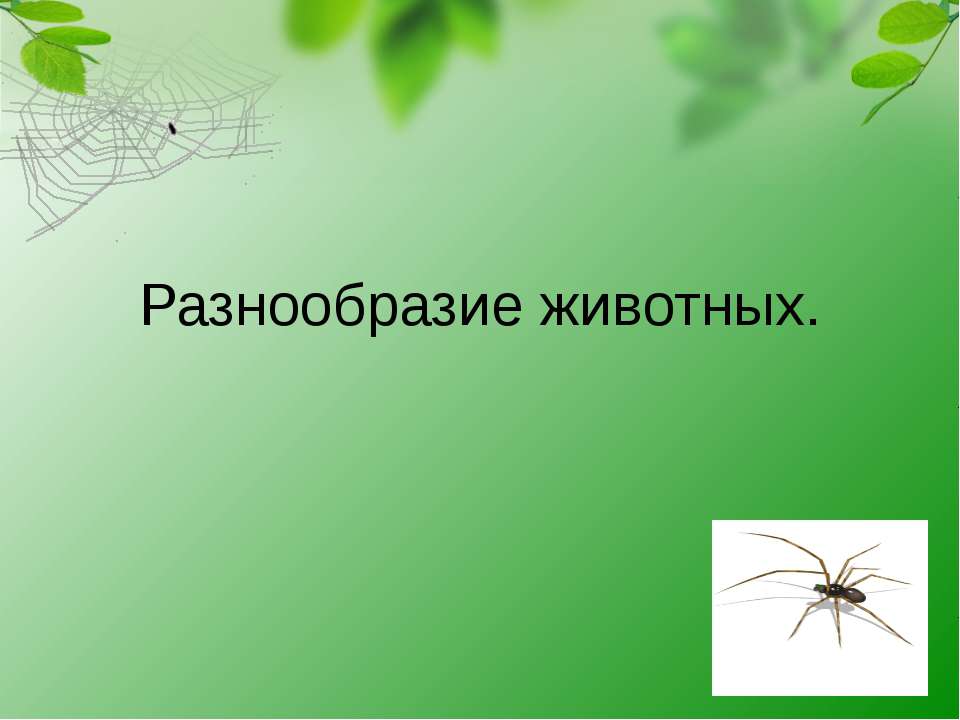 Разнообразие животных  - Скачать презентации бесплатно | Читать или скачать учебники для школы онлайн бесплатно ☑ Школьные учебники school-textbook.com