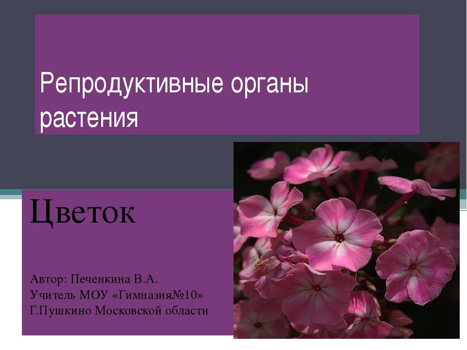 Репродуктивные органы растения  - Скачать презентации бесплатно | Читать или скачать учебники для школы онлайн бесплатно ☑ Школьные учебники school-textbook.com