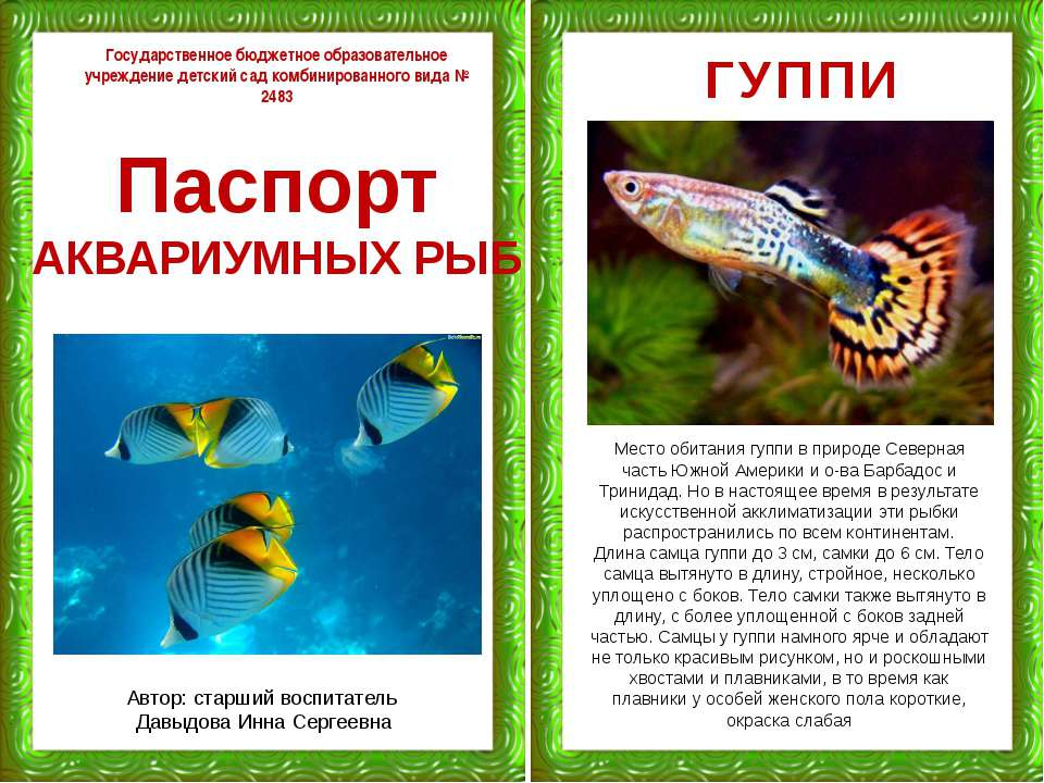 Паспорт аквариумных рыб - Скачать презентации бесплатно ☑ Презентации по предметам на gdz-books.ru
