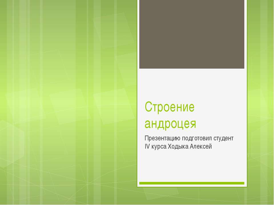 Строение андроцея - Скачать презентации бесплатно ☑ Презентации по предметам на gdz-books.ru