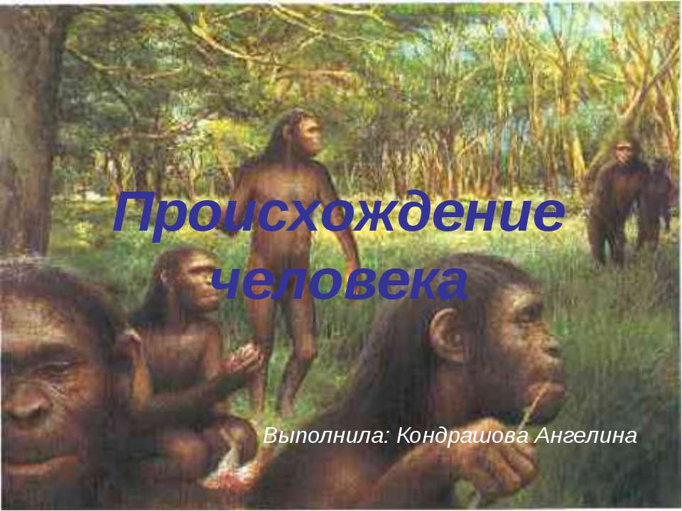 Происхождение человека  - Скачать презентации бесплатно | Читать или скачать учебники для школы онлайн бесплатно ☑ Школьные учебники school-textbook.com