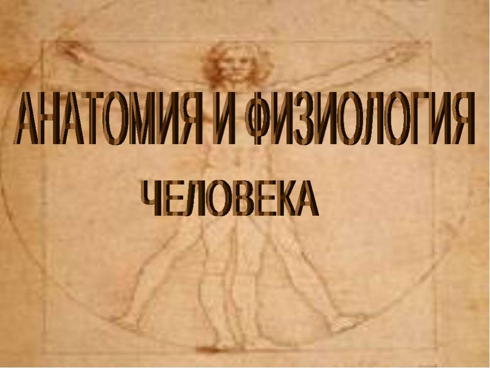 Анатомия и физиология человека - Скачать презентации бесплатно ☑ Презентации по предметам на gdz-books.ru