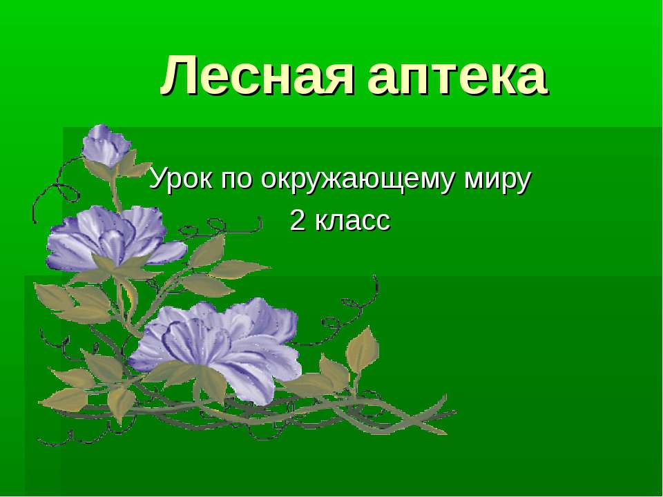 Лесная аптека  - Скачать презентации бесплатно | Читать или скачать учебники для школы онлайн бесплатно ☑ Школьные учебники school-textbook.com