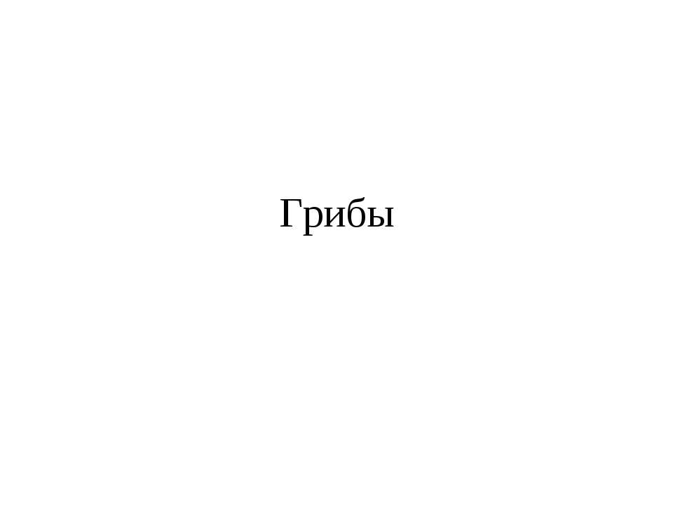 Грибы - Скачать презентации бесплатно ☑ Презентации по предметам на gdz-books.ru