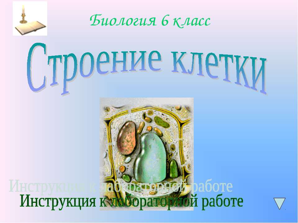 Строение клетки 6 класс  - Скачать презентации бесплатно | Читать или скачать учебники для школы онлайн бесплатно ☑ Школьные учебники school-textbook.com