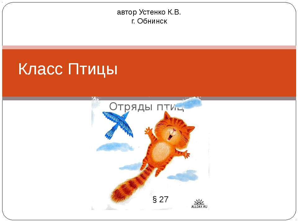Класс Птицы - Скачать презентации бесплатно ☑ Презентации по предметам на gdz-books.ru
