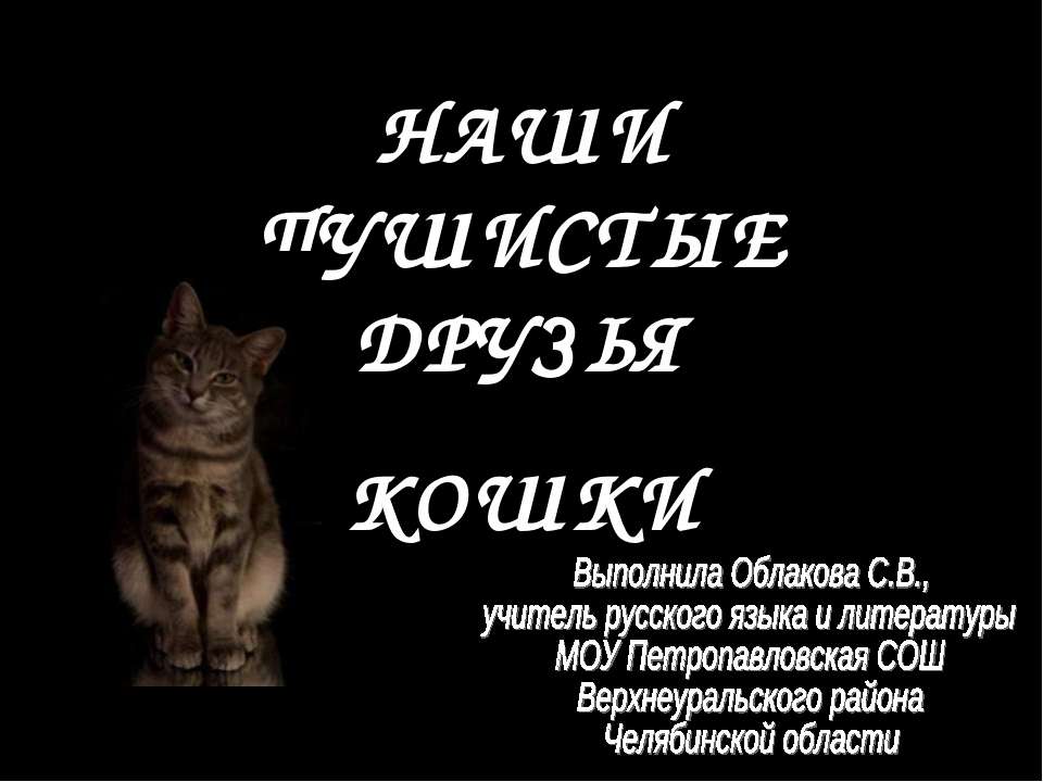 Наши пушистые друзья. Кошки  - Скачать презентации бесплатно | Читать или скачать учебники для школы онлайн бесплатно ☑ Школьные учебники school-textbook.com