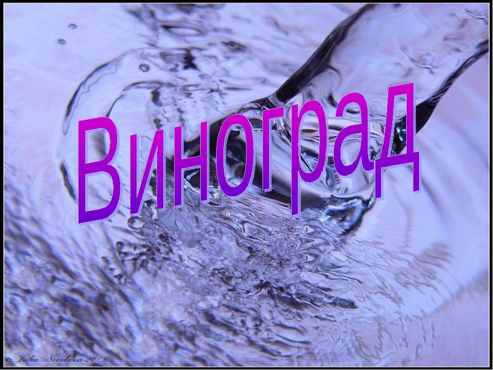 Виноград - Скачать презентации бесплатно ☑ Презентации по предметам на gdz-books.ru