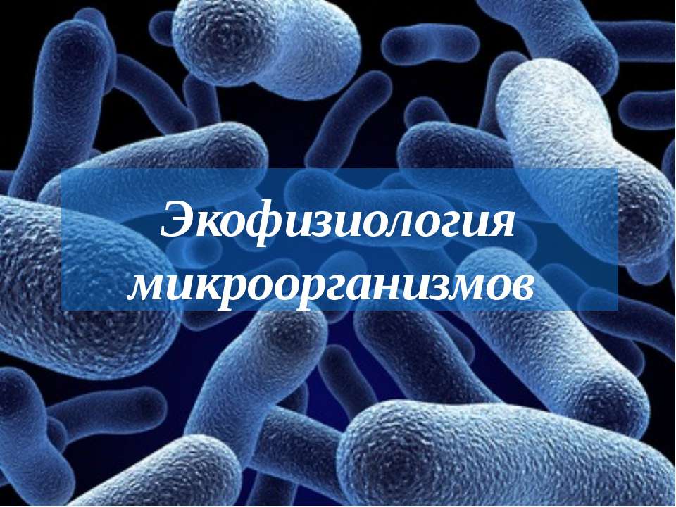 Экофизиология микроорганизмов - Скачать презентации бесплатно ☑ Презентации по предметам на gdz-books.ru