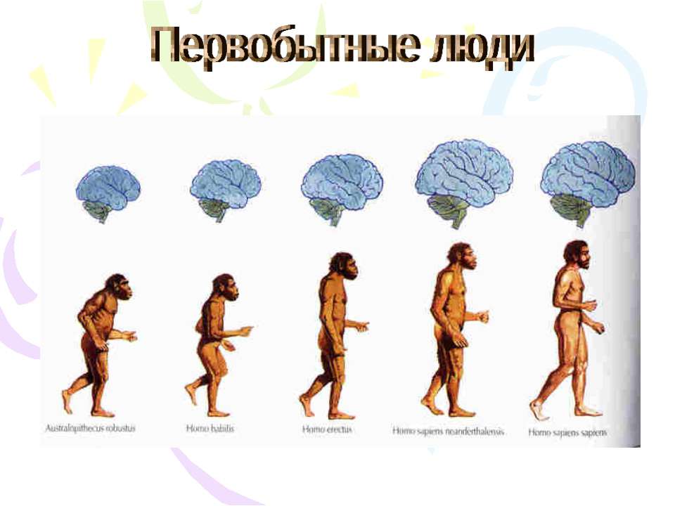 Первобытные люди - Скачать презентации бесплатно ☑ Презентации по предметам на gdz-books.ru