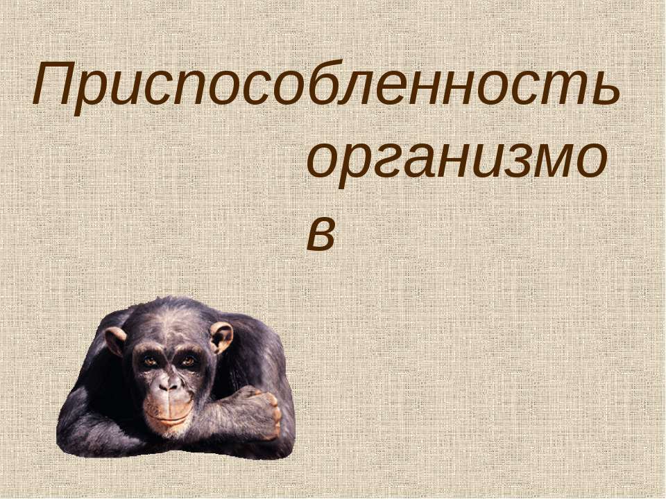 Приспособленность организмов - Скачать презентации бесплатно ☑ Презентации по предметам на gdz-books.ru