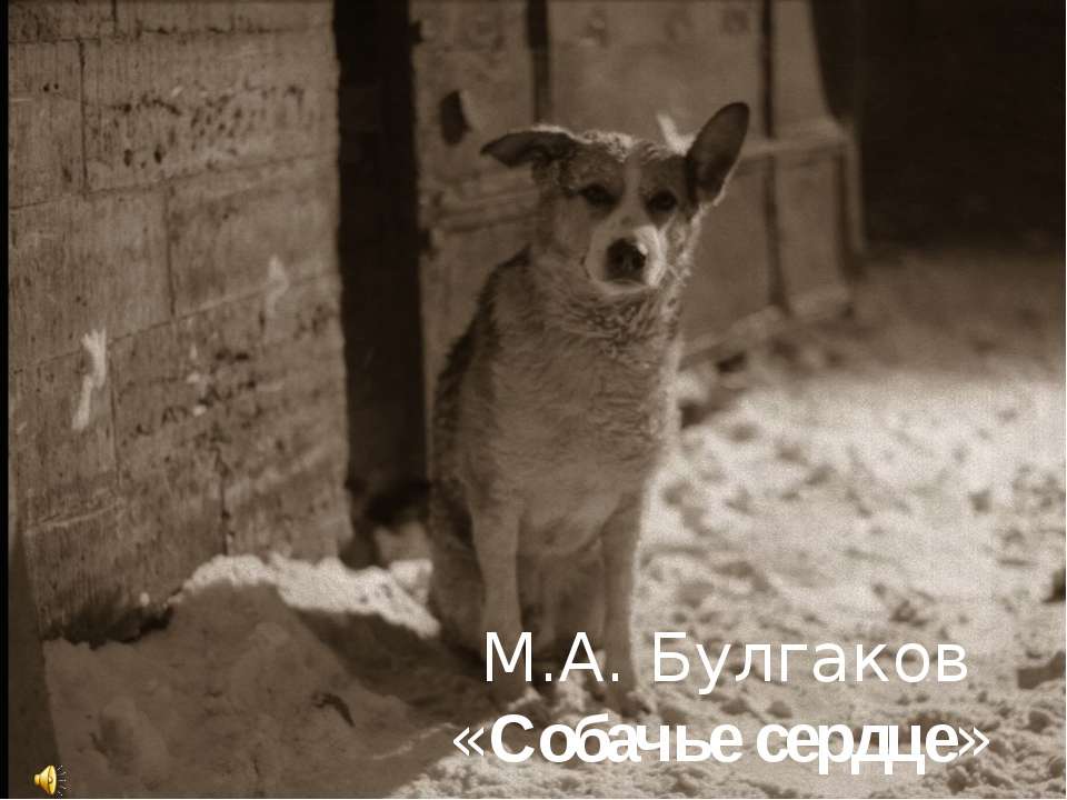 Собачье сердце - Скачать презентации бесплатно ☑ Презентации по предметам на gdz-books.ru