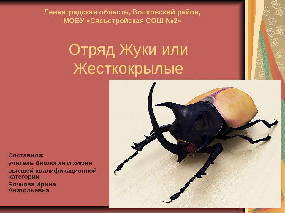 Отряд Жуки или Жесткокрылые  - Скачать презентации бесплатно | Читать или скачать учебники для школы онлайн бесплатно ☑ Школьные учебники school-textbook.com