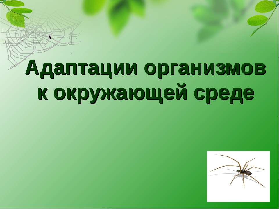 Адаптации организмов к окружающей среде - Скачать презентации бесплатно ☑ Презентации по предметам на gdz-books.ru