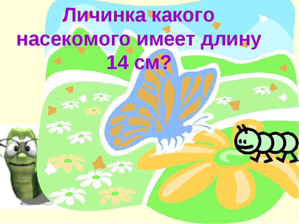 Личинка какого насекомого имеет длину 14 см?  - Скачать презентации бесплатно | Читать или скачать учебники для школы онлайн бесплатно ☑ Школьные учебники school-textbook.com