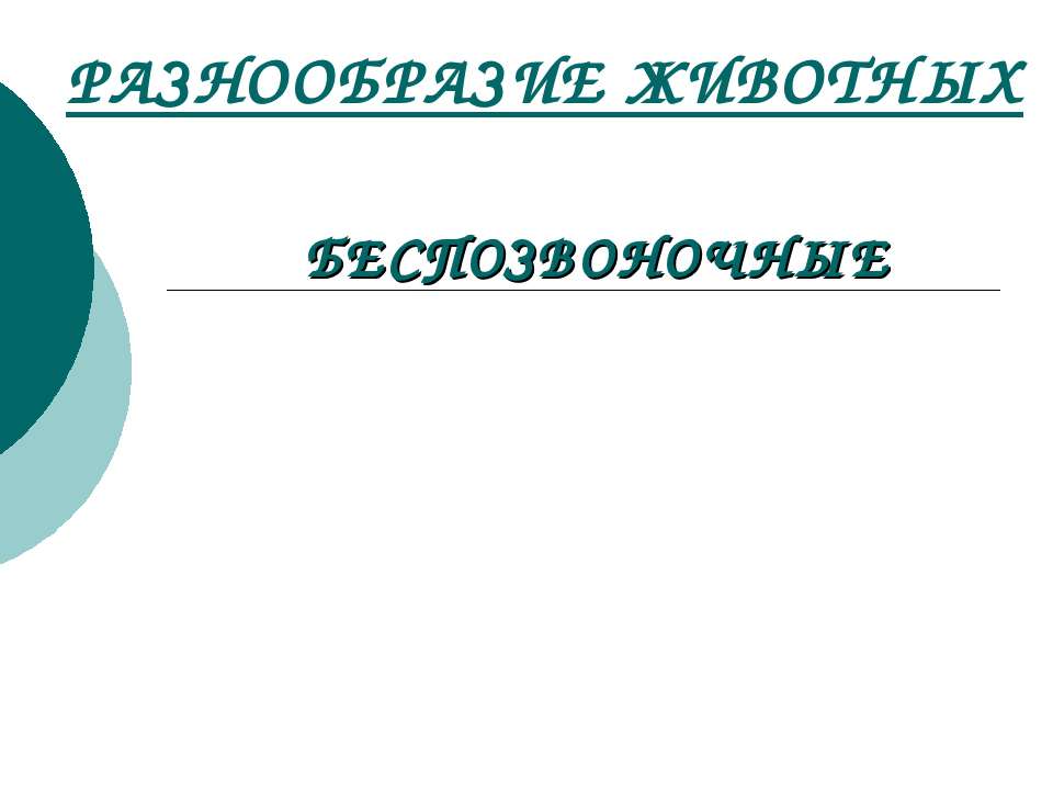 Разнообразие животных Беспозвоночные  - Скачать презентации бесплатно | Читать или скачать учебники для школы онлайн бесплатно ☑ Школьные учебники school-textbook.com