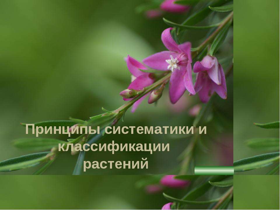 Принципы систематики и классификации растений  - Скачать презентации бесплатно | Читать или скачать учебники для школы онлайн бесплатно ☑ Школьные учебники school-textbook.com