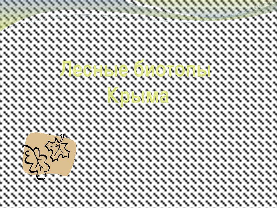 Лесные биотопы Крыма  - Скачать презентации бесплатно | Читать или скачать учебники для школы онлайн бесплатно ☑ Школьные учебники school-textbook.com