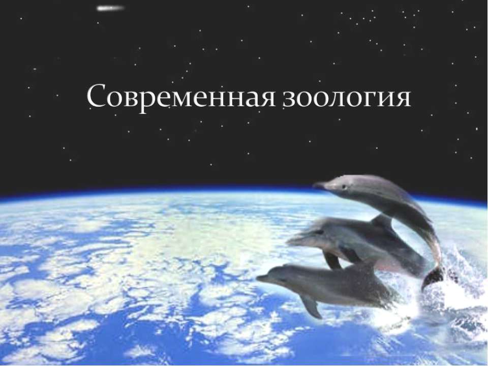 Современная зоология - Скачать презентации бесплатно ☑ Презентации по предметам на gdz-books.ru