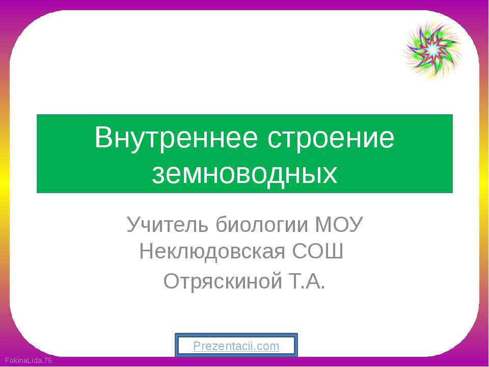 Внутреннее строение земноводных  - Скачать презентации бесплатно | Читать или скачать учебники для школы онлайн бесплатно ☑ Школьные учебники school-textbook.com