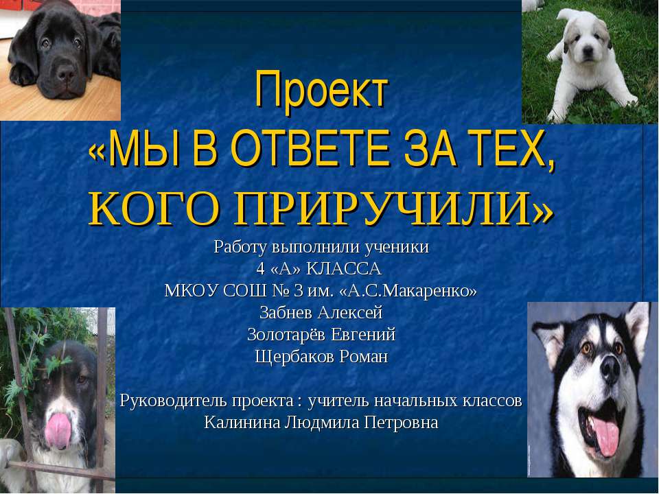 Мы в ответе за тех, кого приручили 4 класс  - Скачать презентации бесплатно | Читать или скачать учебники для школы онлайн бесплатно ☑ Школьные учебники school-textbook.com