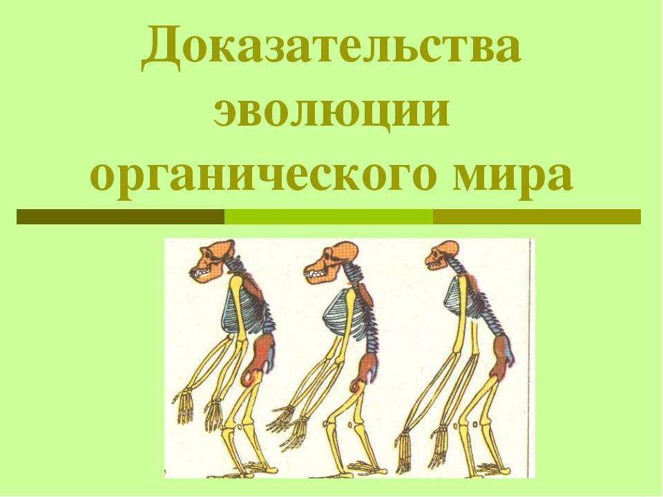Доказательства эволюции органического мира  - Скачать презентации бесплатно | Читать или скачать учебники для школы онлайн бесплатно ☑ Школьные учебники school-textbook.com