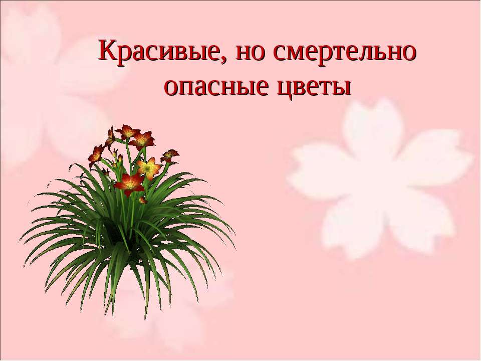 Красивые, но смертельно опасные цветы - Скачать презентации бесплатно ☑ Презентации по предметам на gdz-books.ru