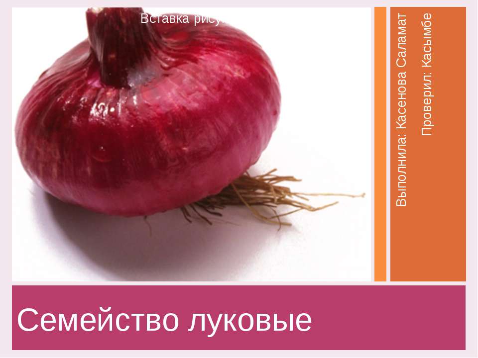 Семейство луковые  - Скачать презентации бесплатно | Читать или скачать учебники для школы онлайн бесплатно ☑ Школьные учебники school-textbook.com