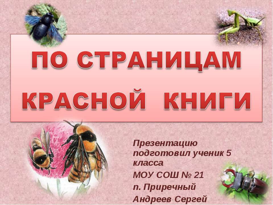 По страницам Красной книги 5 класс  - Скачать презентации бесплатно | Читать или скачать учебники для школы онлайн бесплатно ☑ Школьные учебники school-textbook.com
