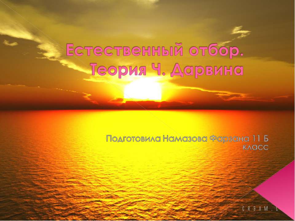 Естественный отбор. Теория Ч. Дарвина  - Скачать презентации бесплатно | Читать или скачать учебники для школы онлайн бесплатно ☑ Школьные учебники school-textbook.com