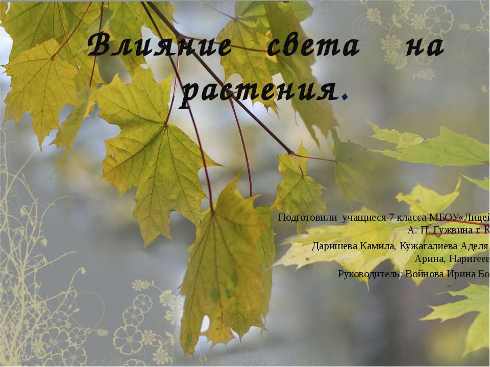 Влияние света на растения - Скачать презентации бесплатно ☑ Презентации по предметам на gdz-books.ru