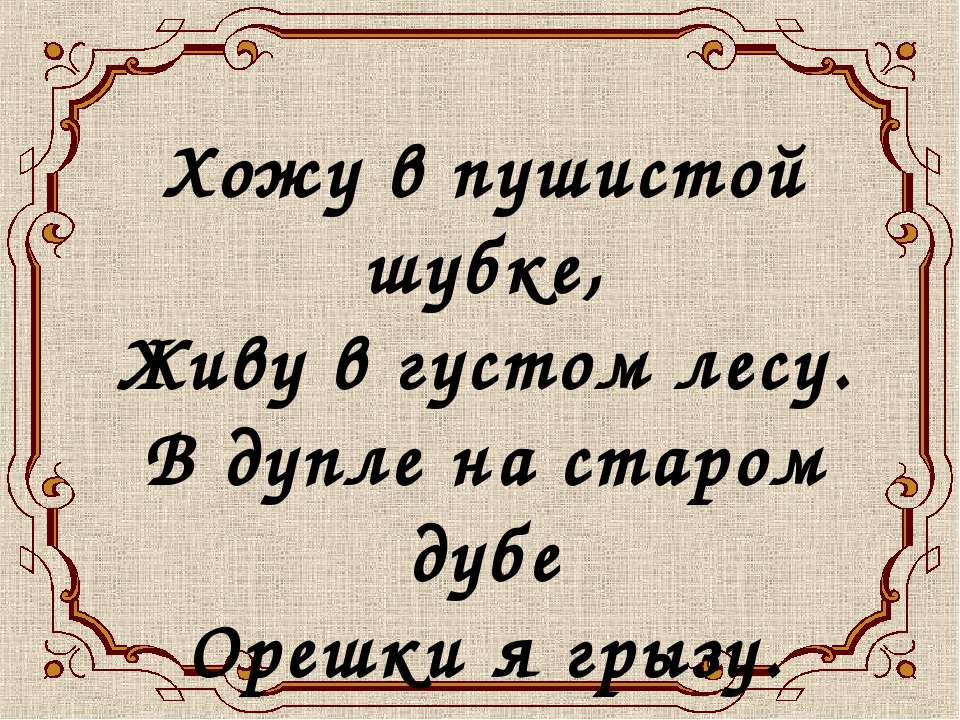 Белочка - Скачать презентации бесплатно ☑ Презентации по предметам на gdz-books.ru