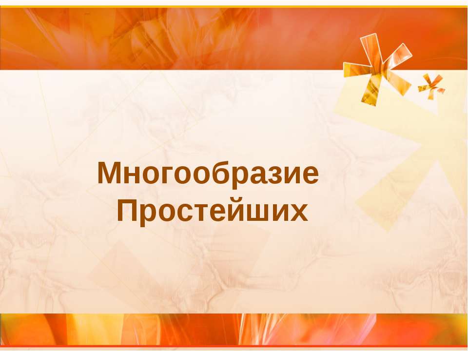 Многообразие Простейших  - Скачать презентации бесплатно | Читать или скачать учебники для школы онлайн бесплатно ☑ Школьные учебники school-textbook.com