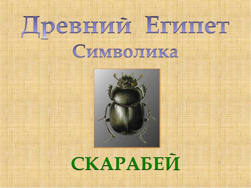 Древний Египет Символика. Скарабей  - Скачать презентации бесплатно | Читать или скачать учебники для школы онлайн бесплатно ☑ Школьные учебники school-textbook.com