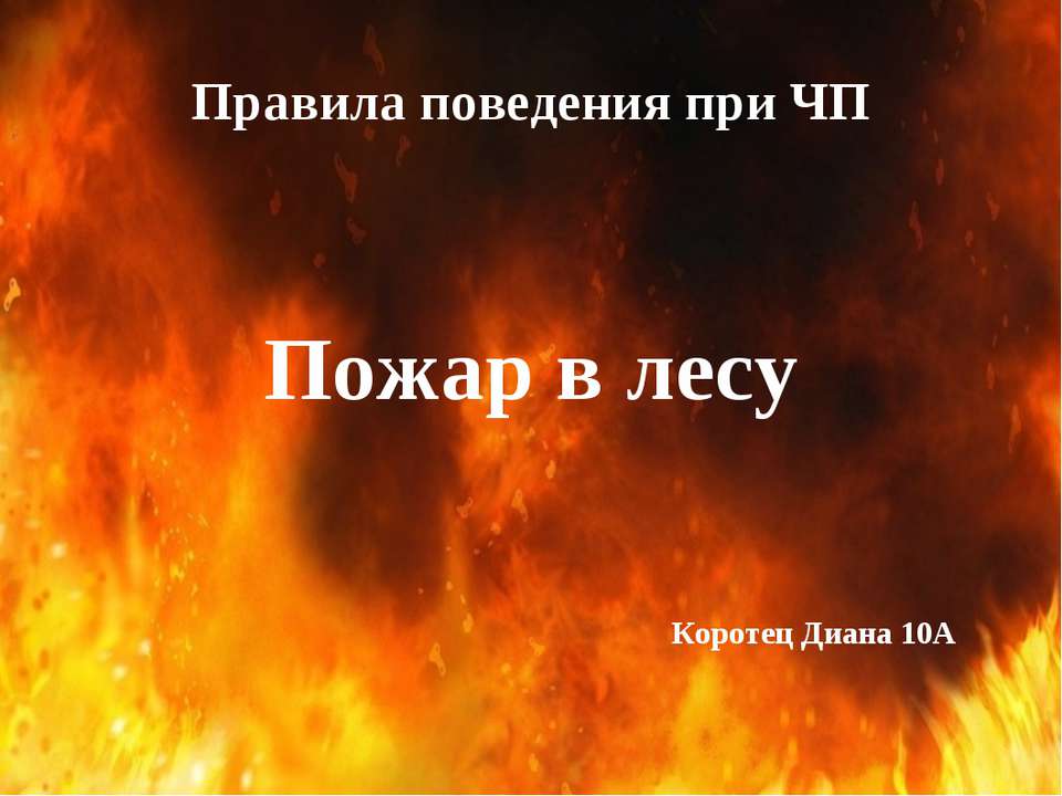 Пожар в лесу  - Скачать презентации бесплатно | Читать или скачать учебники для школы онлайн бесплатно ☑ Школьные учебники school-textbook.com