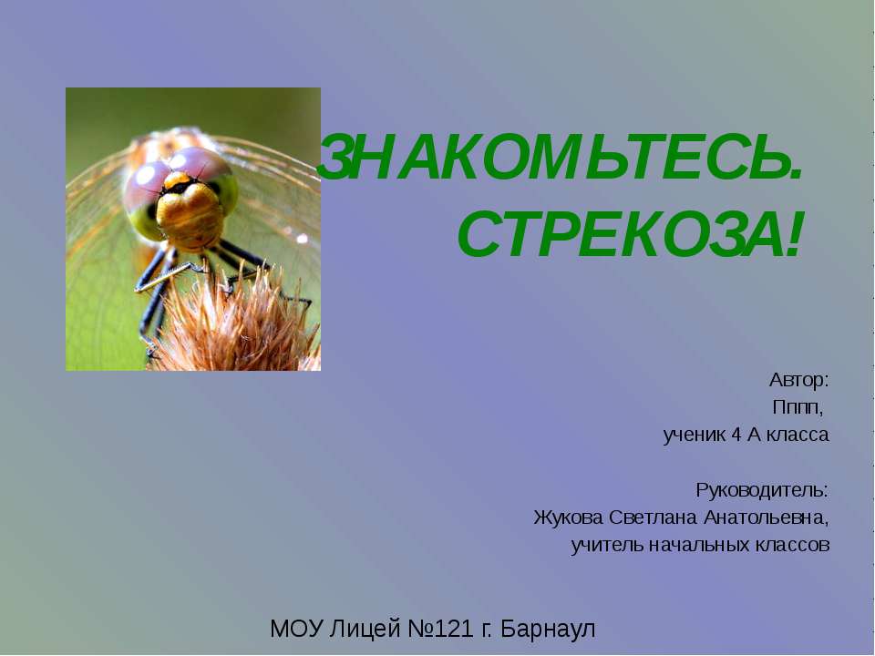 Знакомьтесь. Стрекоза  - Скачать презентации бесплатно | Читать или скачать учебники для школы онлайн бесплатно ☑ Школьные учебники school-textbook.com