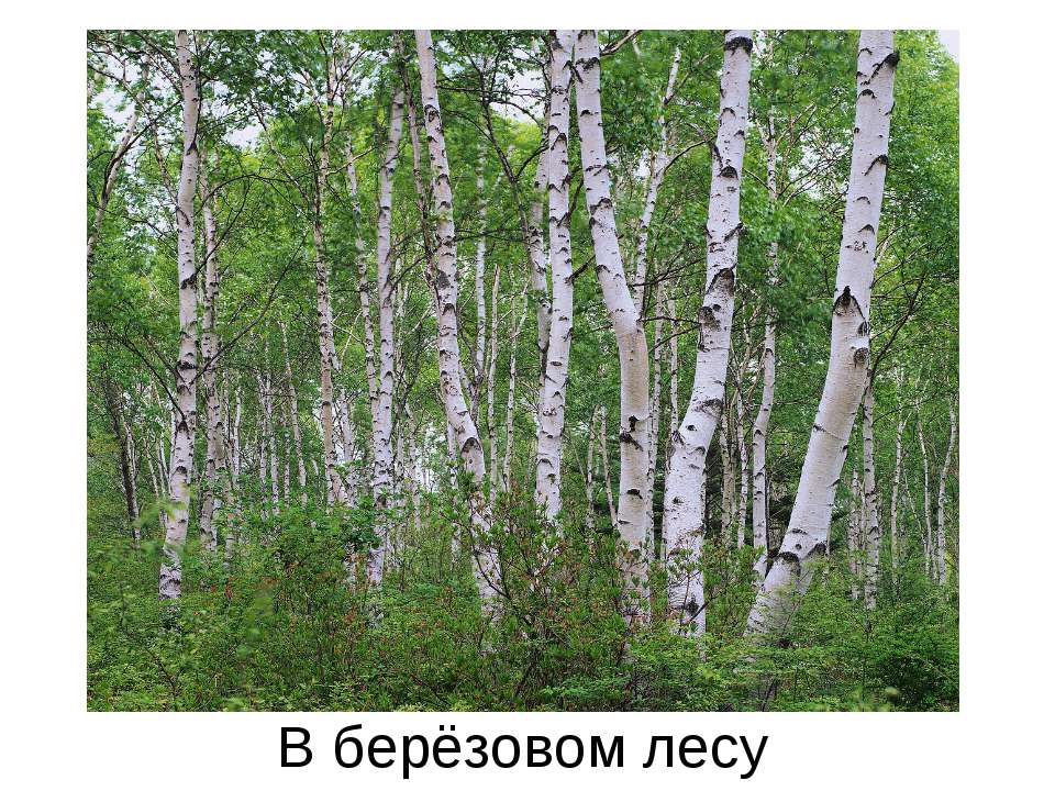 Сочинение  - Скачать презентации бесплатно | Читать или скачать учебники для школы онлайн бесплатно ☑ Школьные учебники school-textbook.com